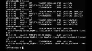 Linux lsscsi Command Examples  Get Info About SCSI  SATA Connected Devices [upl. by Ysle]