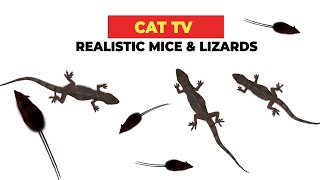 REALISTIC CAT GAME FOR CATS 🐈 Realistic Mice and Lizards for Cats to Watch [upl. by Aili198]