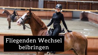 Pferd fliegende Galoppwechsel beibringen  Dressurpferde Ausbildung  Inleobo [upl. by Elsy274]