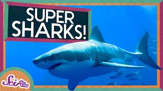 Super Sharks  Amazing Animals  SciShow Kids [upl. by Rechaba]