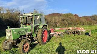 Zwischenfrucht mähen  Farmer 106 LS an der Leistungsgrenze  FarmVlog 1 [upl. by Yelserp]