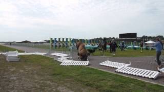 HT VIDEO Rogue horse at Pentathlon [upl. by Cahra]