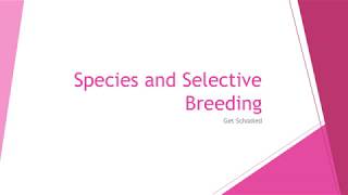 KS3 Biology  Species and Selective Breeding [upl. by Aciraj]