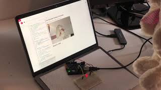 teachable machine image classifier demo arduino leds [upl. by Ylra]