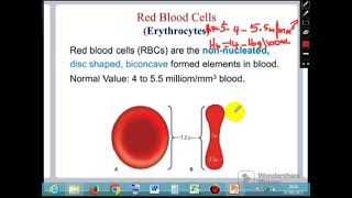 Module 3b  Blood Physiology Part 2 [upl. by Mellisa]