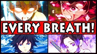 All 15 Battle Styles amp Their Powers Explained Demon Slayer  Kimetsu no Yaiba Every Breath Style [upl. by Gotcher]