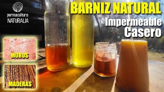 ✋NO COMPRES MÁS BARNIZ Fórmula ECOLÓGICA Impermeabilizá REVOQUES y MADERAS con 2 Ingredientes [upl. by Aldis]