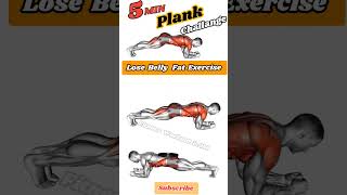 5 Minute Plank Challenge Exercise for Lose Belly Fat workout [upl. by Aldus]