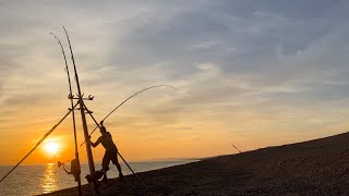 UK SummerAutumn shore fishing from Abbotsbury on Chesil Beach Catch amp Cook Bream Korma Curry [upl. by Ball871]