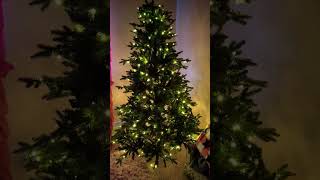 Christmas Tree with Lights quotBudget Pricequot christmas xmas review [upl. by Madelyn]