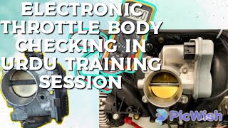 Electronic Throttle Body Checking in Urdu Training Session [upl. by Ahseyk]