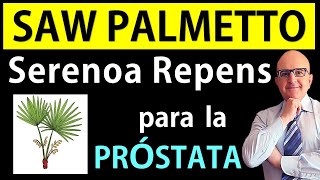 🌸 SERENOA REPENS SAW PALMETTO👌 Remedio NATURAL para PRÓSTATA 📘Dr PEDRO CASTILLO Medicina Integral [upl. by Karwan]