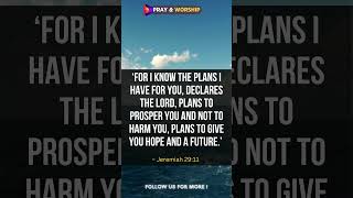 The Most ENCOURAGING BIBLE VERSE for Trusting GOD’s PLAN [upl. by Kcirdla]