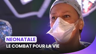 Ils se battent pour la vie des bébés [upl. by Inneg]