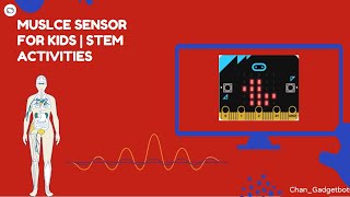 EMG Electromyography Tutorial  Micro bit  STEM activity [upl. by O'Donovan]