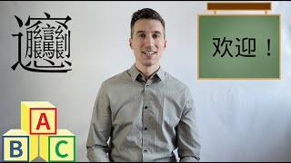 Your FIRST Mandarin Lesson  Pinyin  Part 1 [upl. by Sitoel]