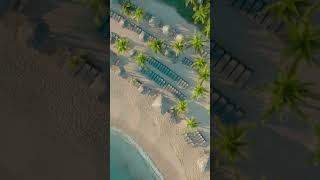 Hyatt Zilara Rose Hall adultsonly allinclusive resort in Montego Bay Jamaica [upl. by Suzzy]