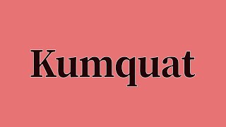 Kumquat Pronunciation and Meaning [upl. by Anifesoj255]