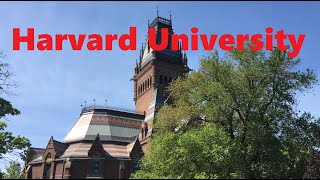 Harvard University Campus A Spring Tour [upl. by Valerlan]