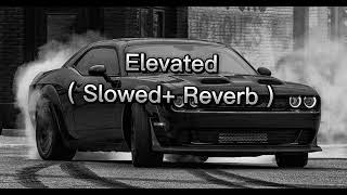 Elevated By SHUBH  Slowed  Reverb [upl. by Asina338]