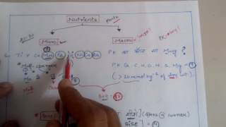 Trick to learn micronutrients and macronutrients for NEET AIIMS JIPMER KVPY etc Biology exams [upl. by Jr]