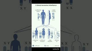 X linked recessive inheritance chart genetics viralshort biology nursing neet2025 ruhs biolo [upl. by Basilio]