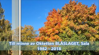 Oktetten Blåslaget Sala [upl. by Zak]