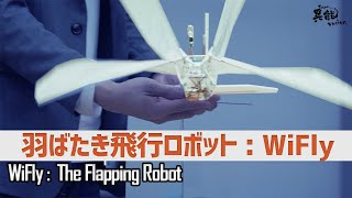 蝶のように自由に舞う、羽ばたき飛行ロボット「WiFly」 [upl. by Miza600]