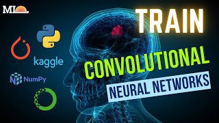 16 Train a NewBorn Convolutional Neural Network in Pytorch [upl. by Rekab]