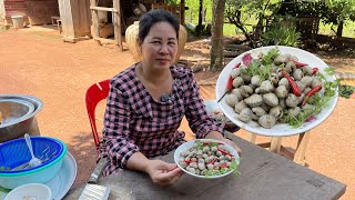 How to make food​ Stirred Fried Cockle with Tamarind SauceVillage Cooking Channelfor my yummy​ [upl. by Aihsemak158]