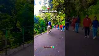 Darjeeling in winter 2024 shortsvideo music song cover darjeeling darjeelinginwinter 2024 [upl. by Aihsema487]