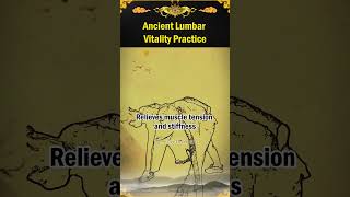 Ancient Lumbar Vitality Practice QualityOfLife FitnessRoutine HolisticHealth NaturalHealing [upl. by Zeculon988]