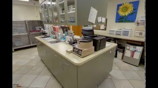 Lake Area Animal Hospital  Melrose FL  Veterinary Clinic [upl. by Ajnos]