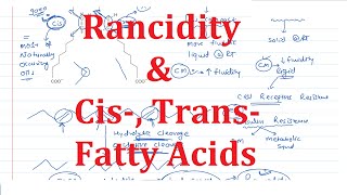 11 Cis Trans Fatty Acids amp Rancidity [upl. by Cykana783]