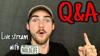 QampA With Jacks World of Wildlife My first Live Stream [upl. by Sharos]