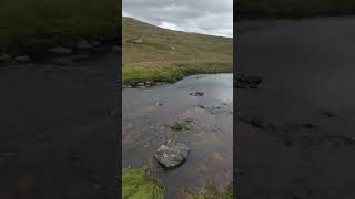 Eglin and Gala Lanes East Ayrshire Galloway Forest Park Scotland 🌲🏞🏴󠁧󠁢󠁳󠁣󠁴󠁿 [upl. by Fayina]