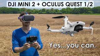 Fly The DJI Mavic Mini or Mini 2 With An Oculus Quest Or Quest 2 [upl. by Gereld]