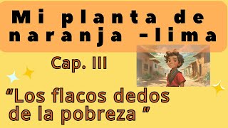 Mi planta de naranjalima  Cap III Audiolibro [upl. by Wanyen723]