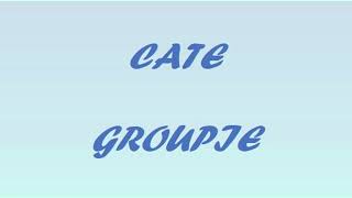 CATE  GROUPIE 1 JAM  1 HOUR [upl. by Nylesor]