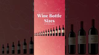 Wine bottle sizes in increasing order 🍷🤗 [upl. by Trueman734]