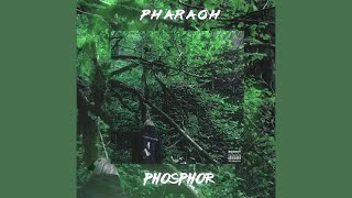 FREE Pharaoh x Phosphor type beat  Одинокий дом [upl. by Asined]