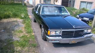 My Chevy Caprice Classic 1983  A Quick Peek [upl. by Siraj641]