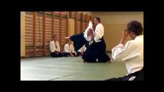 Matti Joensuu 6 dan Aikido seminar Balaton 2014 [upl. by Myles]