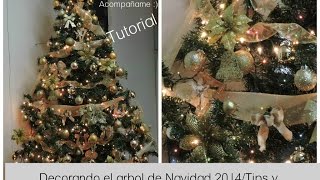 Decorando el árbol de Navidad tips y su significado [upl. by Farant173]