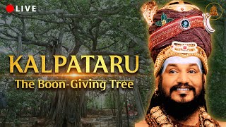 Fulfill Your prayer LIVE Darshan of Kalpataru in Adi Kailasa  wishFulfilling Banyan Tree [upl. by Maressa]