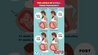 The levels of full term pregnancy 🤰🌟  Pregnancy Guide  Motherhood pregnancycare baby shortsfeed [upl. by Elraet]