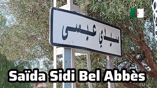 هنا تنتهي مغامرتنا اليوم مع المغني المشهور في المرة القادمة باذن الله ةSaïda Sidi Bel Abbès [upl. by Enelra]