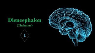 Introduction of diencephalon and thalamus Prof Ashfaqur Rahman [upl. by Anuahsed]