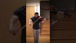 Wieniawski  Variations of an Original Theme op15 [upl. by Nadual531]