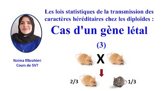 SVTBacBiof Les lois statistiques de la transmission des caractères  Cas dun gène létal [upl. by Brianne128]